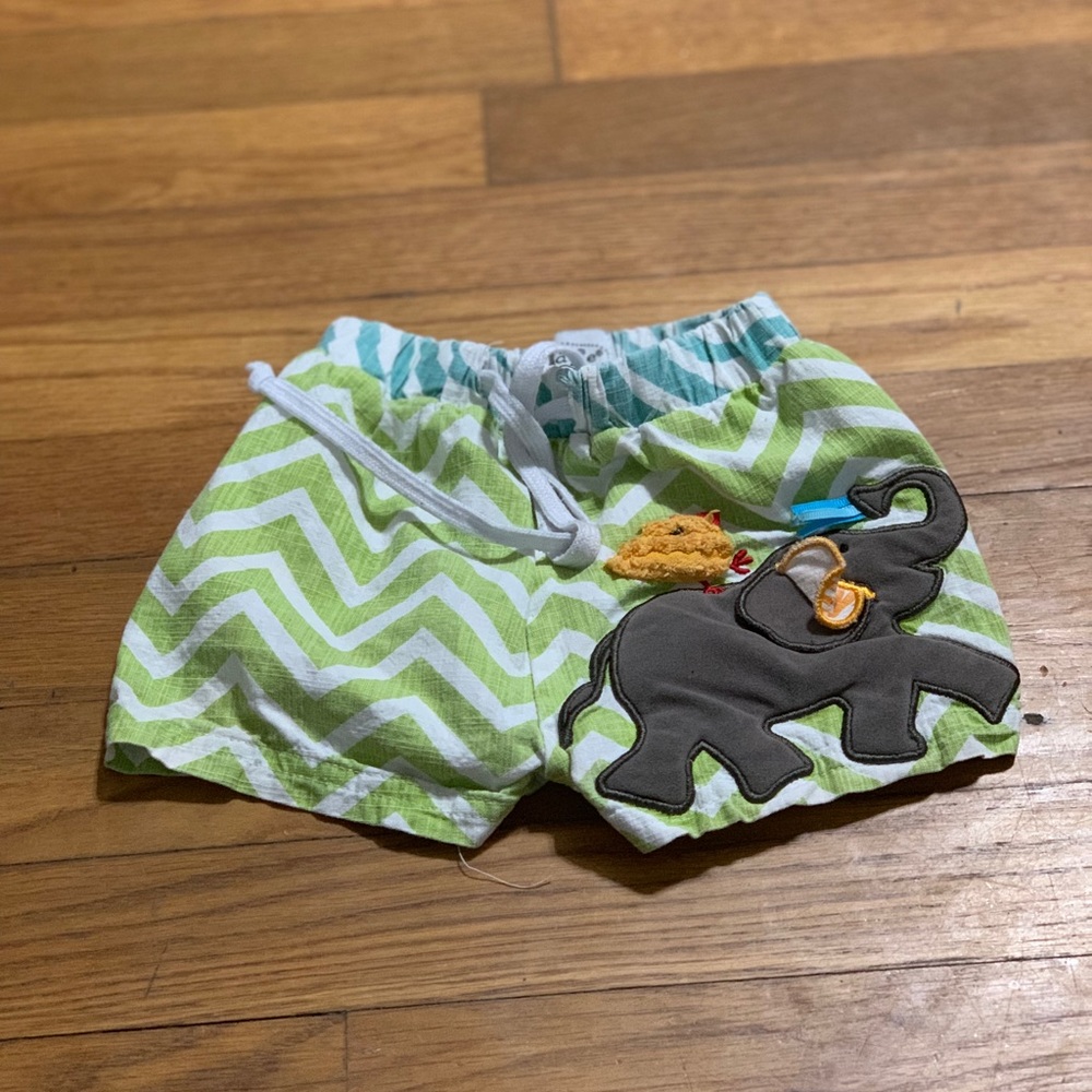 Mudpie swim trunks